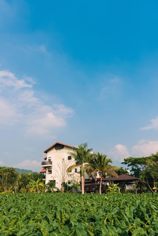 Palm Villa Guesthouse Nantou Екстериор снимка